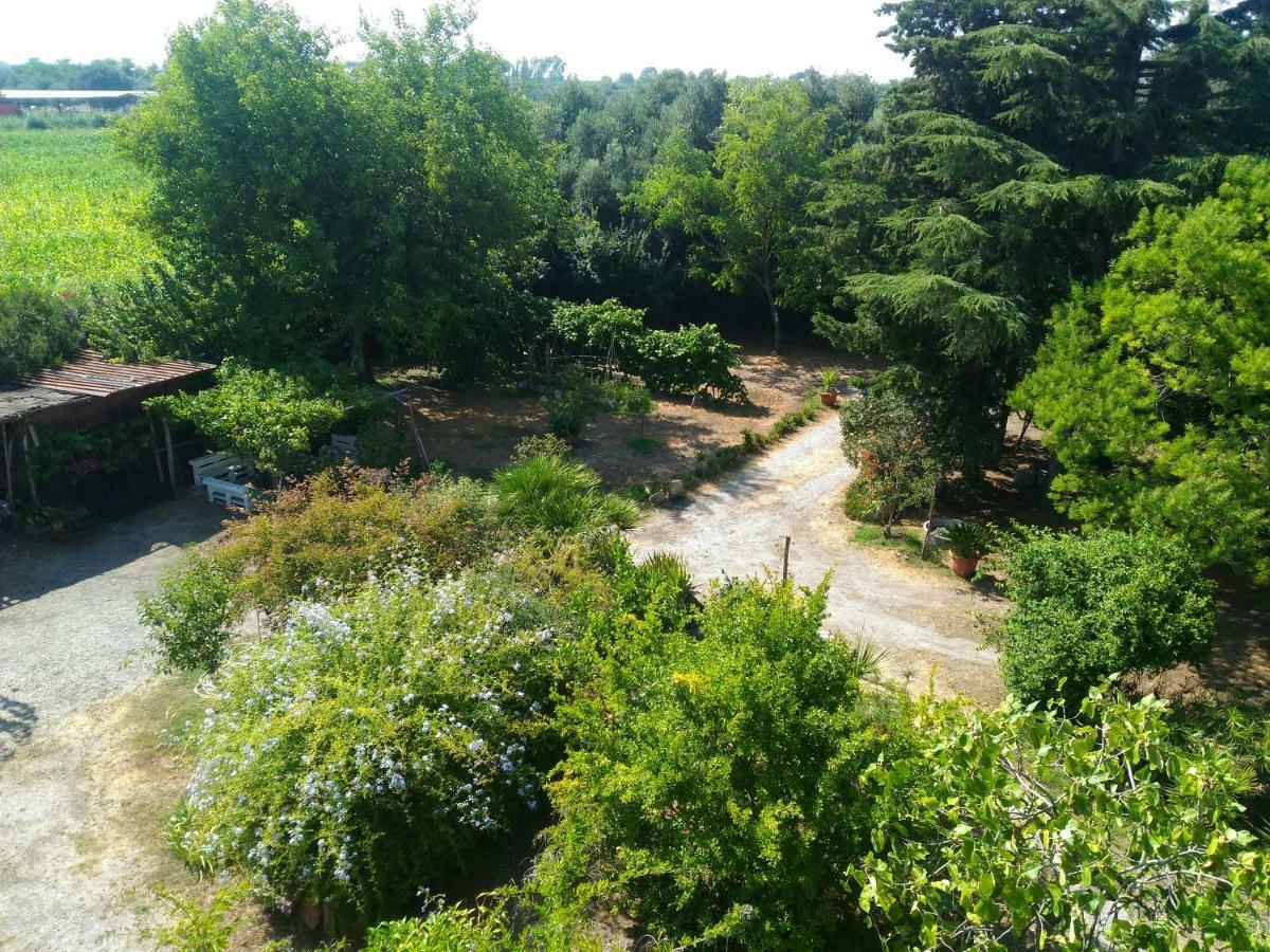 Paestum House住宿加早餐旅馆 外观 照片