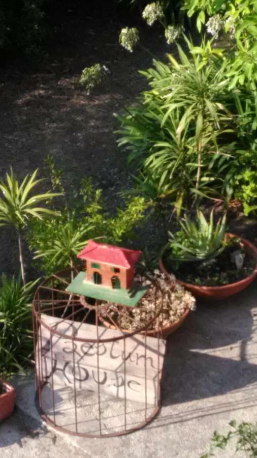 Paestum House住宿加早餐旅馆 外观 照片