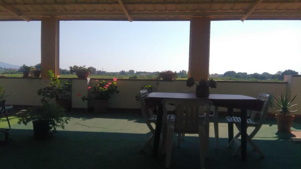Paestum House住宿加早餐旅馆 外观 照片